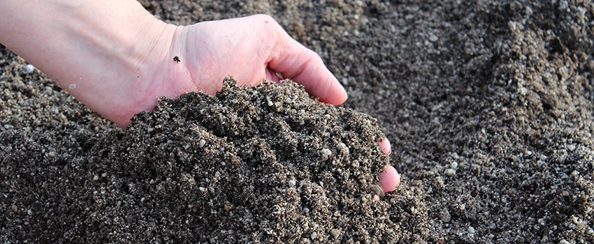 a garden soil blend of SoilRox, compost, and topsoil