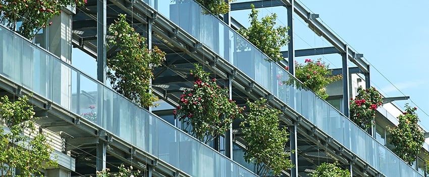 an urban application of container-grown roses